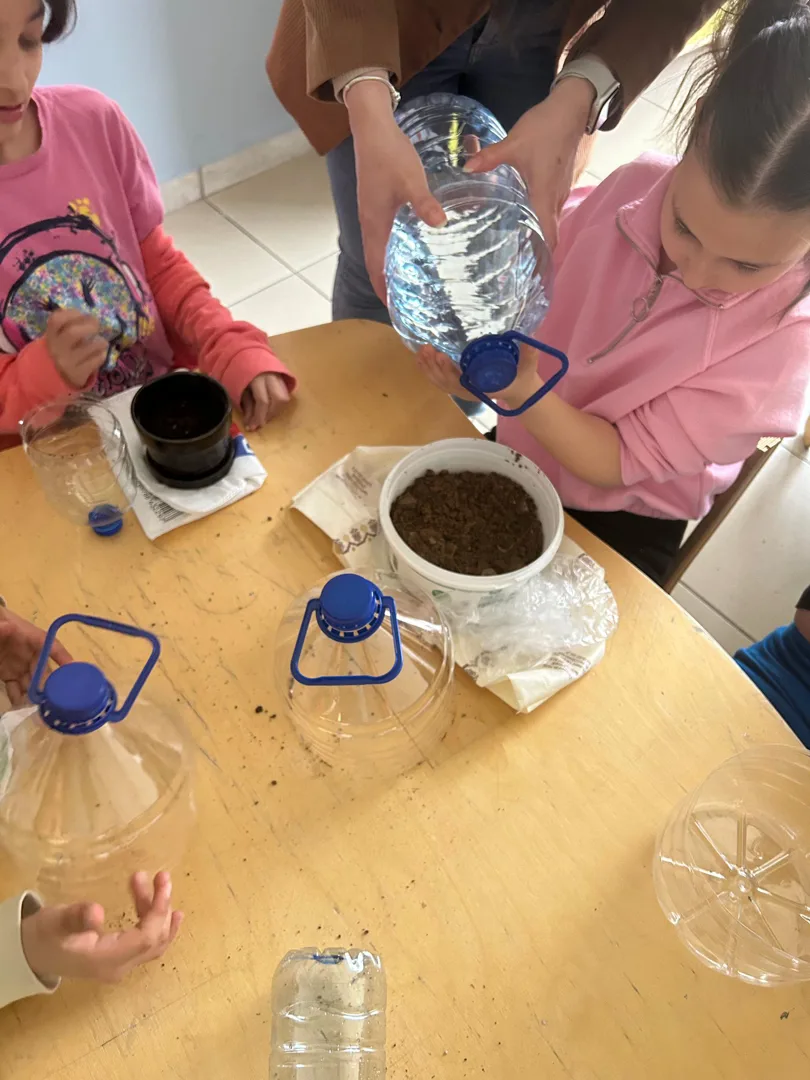 Mini Sera Tasarımı ... - 2