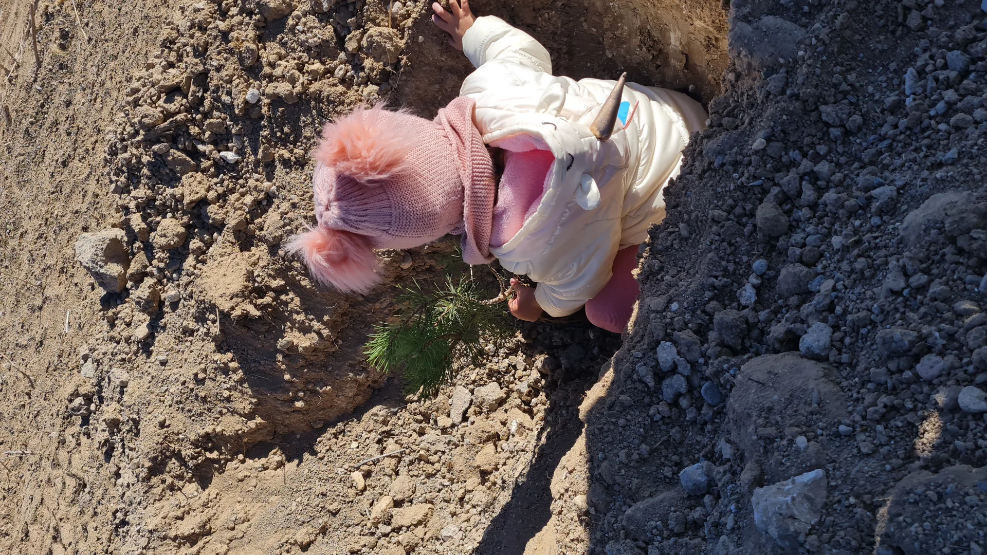 Doku Okulları Hatıra Ormanı 2. Etap Ağaç Dikimi faaliyetimizi gerçekleştirdik. - 4