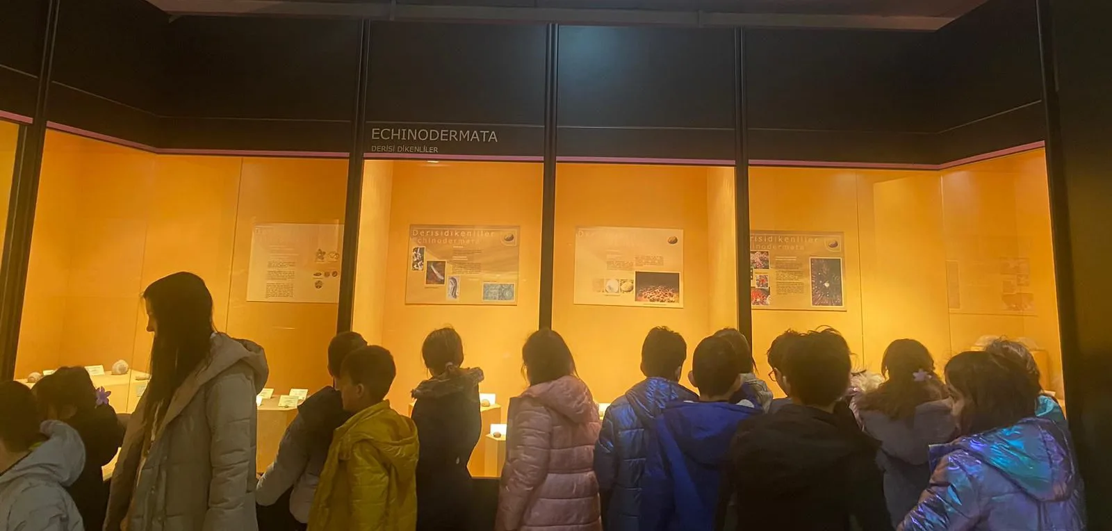 MTA Müzesi Gezisi gerçekleştirdik. - 2